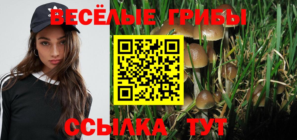 Ростов-на-Дону  Галлюциногенные грибы Psilocybine cubensis  Вход с VPN  где можно купить   Галлюциногенные грибы Magic Shrooms 