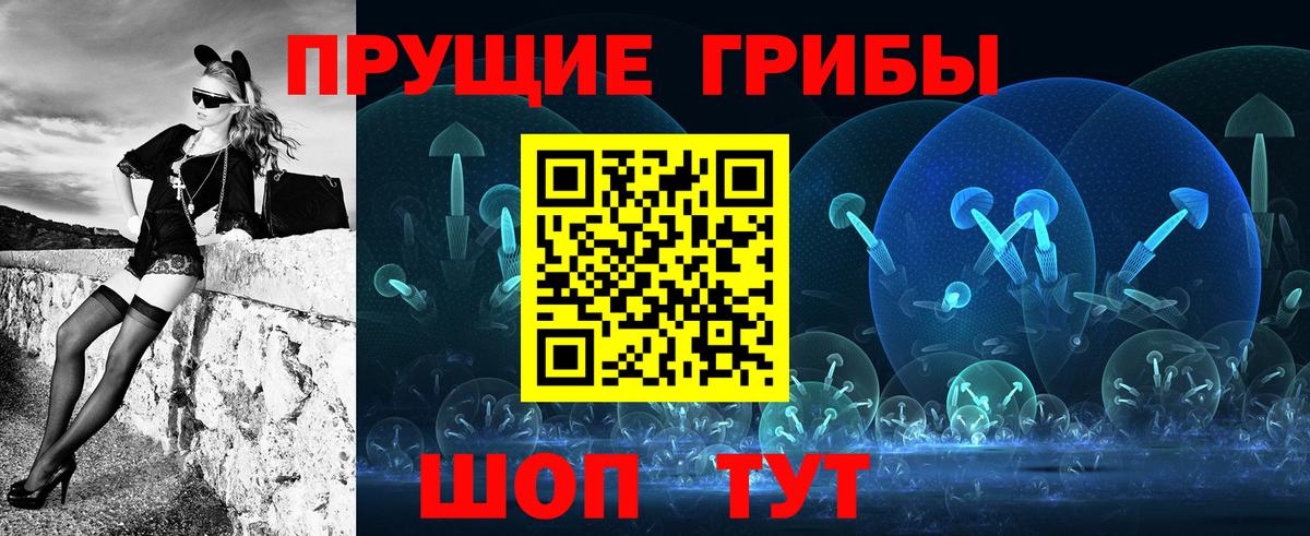 Галлюциногенные грибы Psilocybe Ростов-на-Дону
